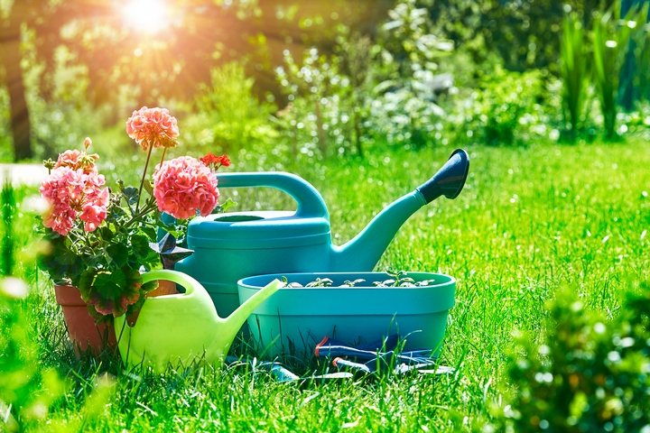 4 Lawn Care Methods to Rejuvenate Your Yard